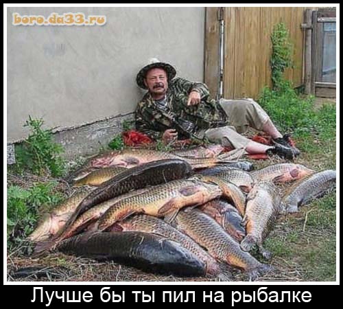 Для любителей сушенной рыбы. 10580_boro.da33.ru