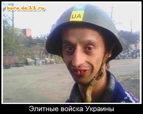 Элитные войска Украины