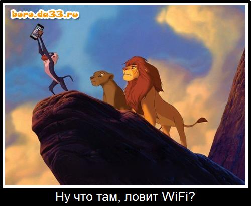   ,  Wi-Fi?