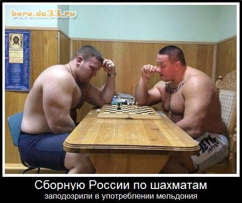 Сборную России по шахматам заподозрили в употреблении мельдония