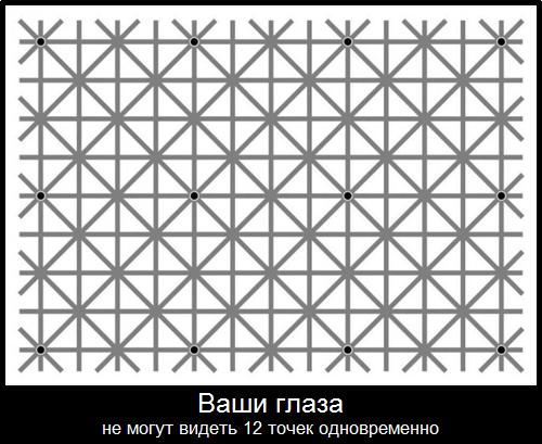 Ваши глаза не могут видеть 12 точек одновременно