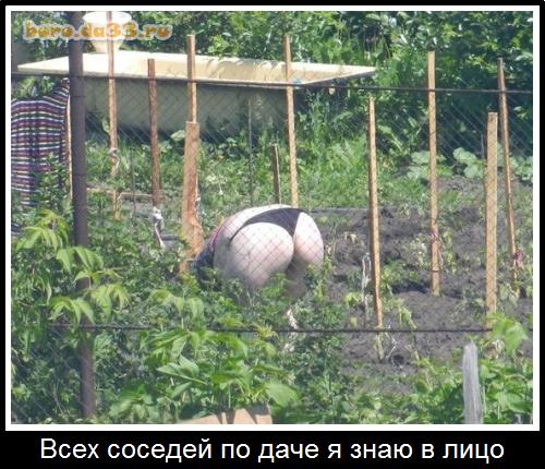 Старушка без трусов стоит раком в огороде (62 фото)