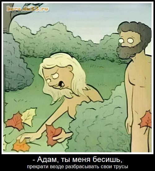 - Адам, ты меня бесишь, прекрати везде разбрасывать свои трусы
