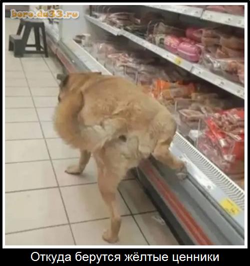 Откуда берутся жёлтые ценники