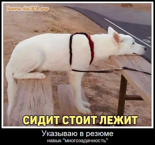 �������� � ������ ����� "���������������"