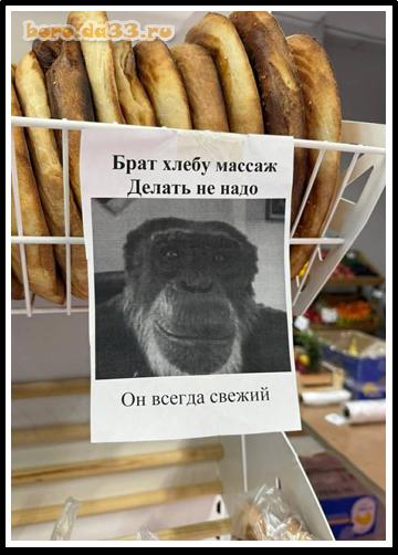 ����, ������ ������ ����� �� ����, �� ������ ������