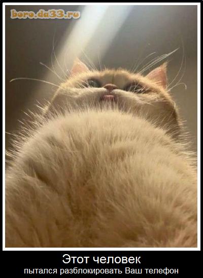 ���� ������� ������� �������������� ��� �������