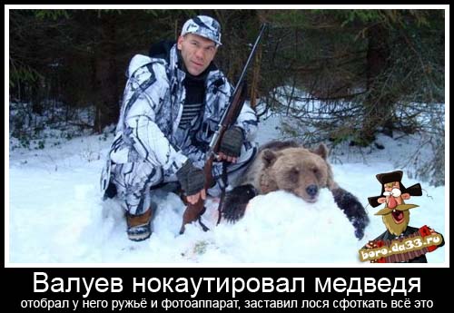 Валуев нокаутировал медведя. Отнял у него ружьё и фотоаппарат, заставил лося сфоткать всё это.