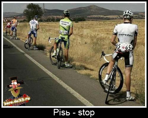 Pis - stop