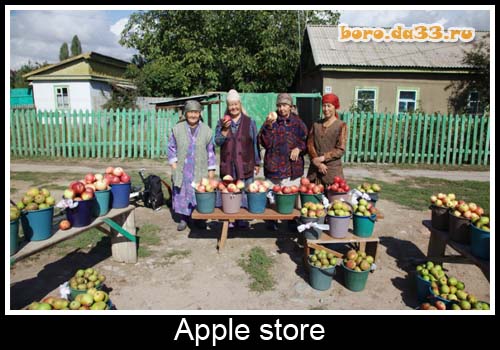 Apple store
